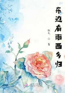 東邊有雨西鄉歸