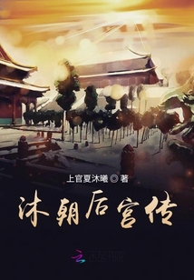 沐朝后宮傳