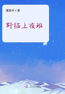 野貓上夜班