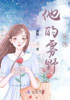 他的霧野玫瑰在線閱讀