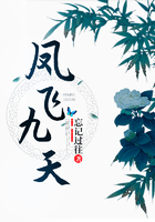 鳳飛九天在線閱讀