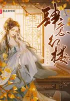 肆意红楼在线阅读