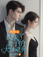 离婚后,我成了妻子的大体老师在线阅读