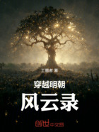 穿越明朝风云录在线阅读
