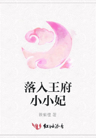落入王府小小妃在線閱讀