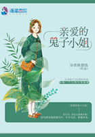 親愛的兔子小姐在線閱讀