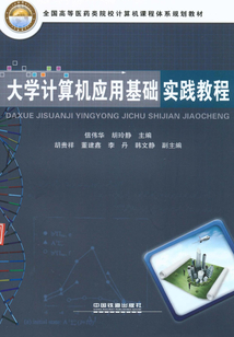 大學計算機應用基礎實踐教程