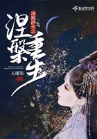 鳳凰浴火之涅槃重生在線閱讀