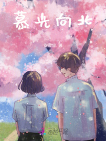 慕光向北