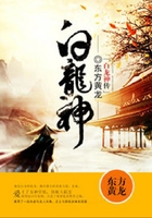 白龙神传