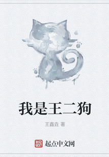 我是王二狗