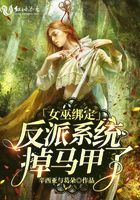 女巫绑定反派系统掉马甲了在线阅读