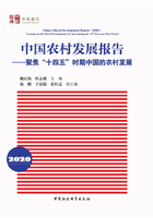 中国农村发展报告（2020）在线阅读