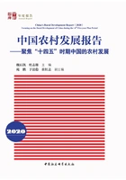 中国农村发展报告(2020)在线阅读