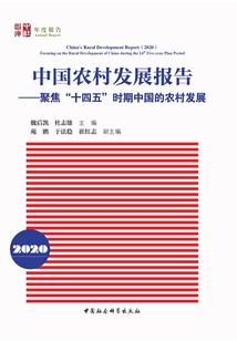 中國農村發展報告(2020)