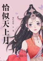 恰似天上月在線閱讀