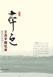 本色：王杰平回憶錄