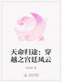 天命歸途：穿越之宮廷風云