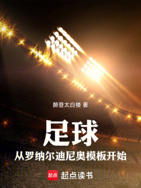 足球:从罗纳尔迪尼奥模板开始在线阅读