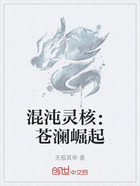 混沌灵核:苍澜崛起在线阅读