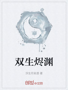 双生烬渊在线阅读
