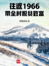 往返1966带全村脱贫致富在线阅读