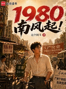 1980南风起! cover