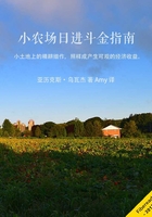 小农场日进斗金指南在线阅读