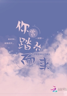 你曾踏光而來
