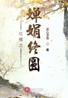 紅樓之嬋娟終圓在線閱讀
