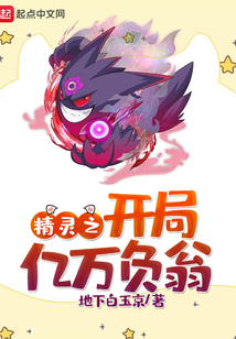 精灵之开局亿万负翁（耿鬼、大针蜂）在线阅读