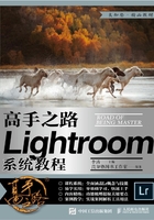 高手之路：Lightroom系统教程