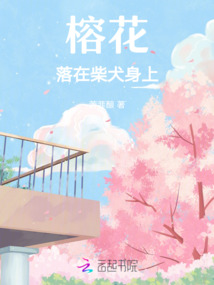 榕花落在柴犬身上