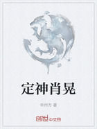 定神肖晃在线阅读