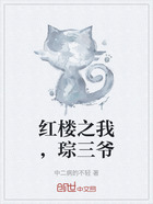 红楼之我，琮三爷在线阅读
