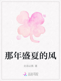 那年盛夏的風