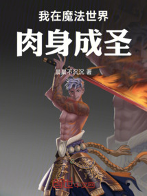 我在魔法世界肉身成圣