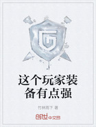 这个玩家装备有点强在线阅读