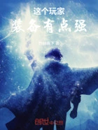 这个玩家装备有点强在线阅读