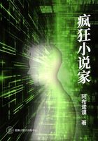 疯狂小说家在线阅读