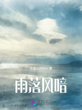 雨落风喑在线阅读