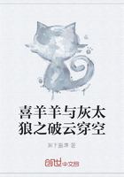 喜羊羊與灰太狼之破云穿空在線閱讀