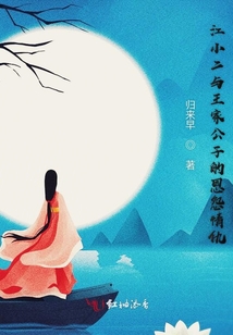 江小二與王家公子的恩怨情仇
