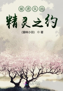 被遺失的精靈之約