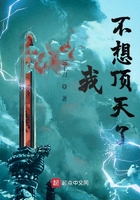 我不想顶天了在线阅读