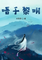 晤于黎明在線閱讀