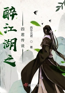 醉江湖之四君传说