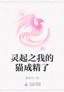 靈起之我的貓成精了