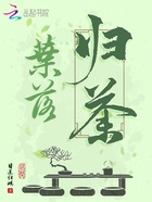 叶落归荼在线阅读