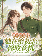 洪水决堤时,她在给初恋修收音机在线阅读